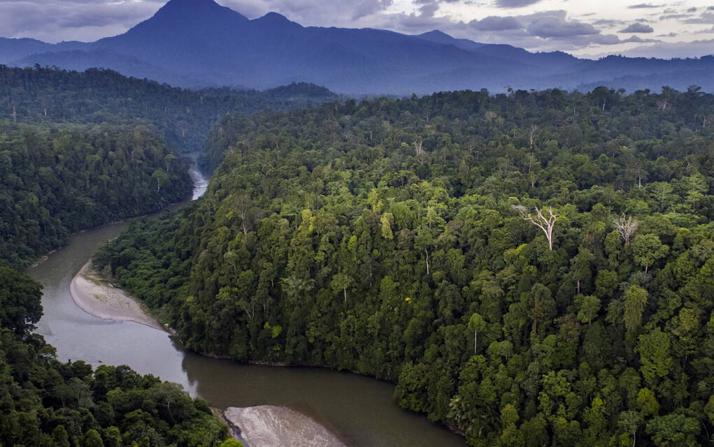 Global conservation collaboration and ecological field research