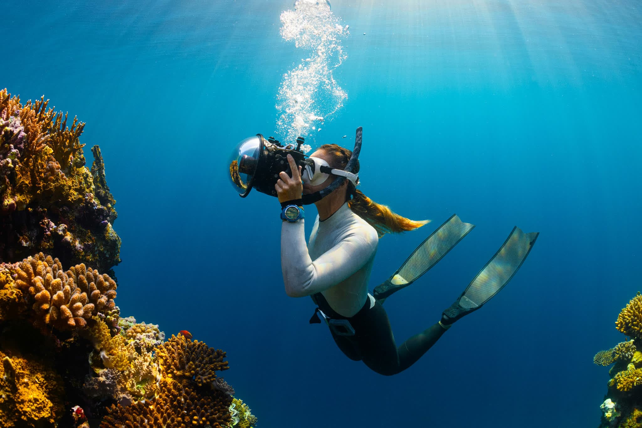 Diver photographing coral underwater