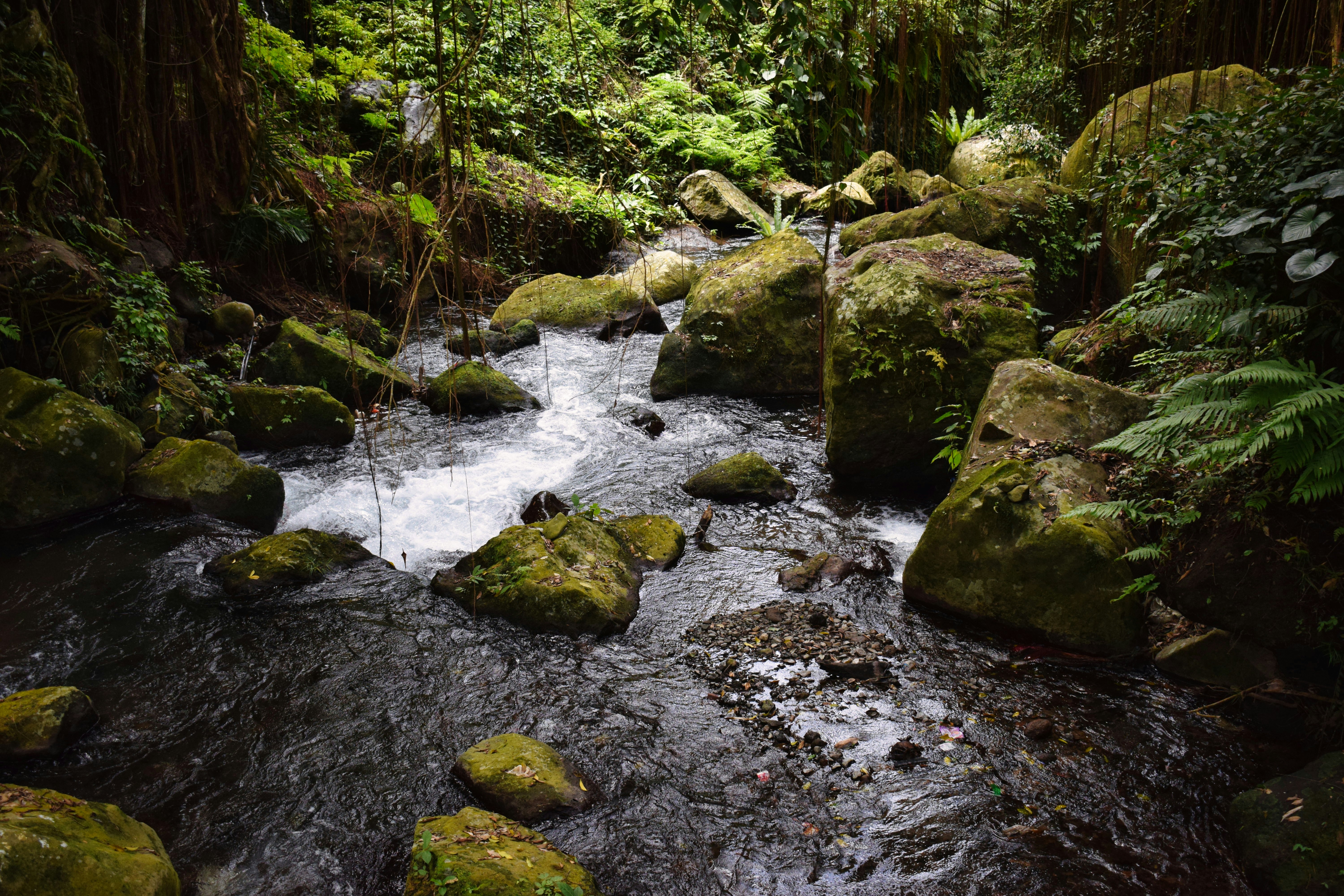 Rivers, chalk streams and freshwater habitats