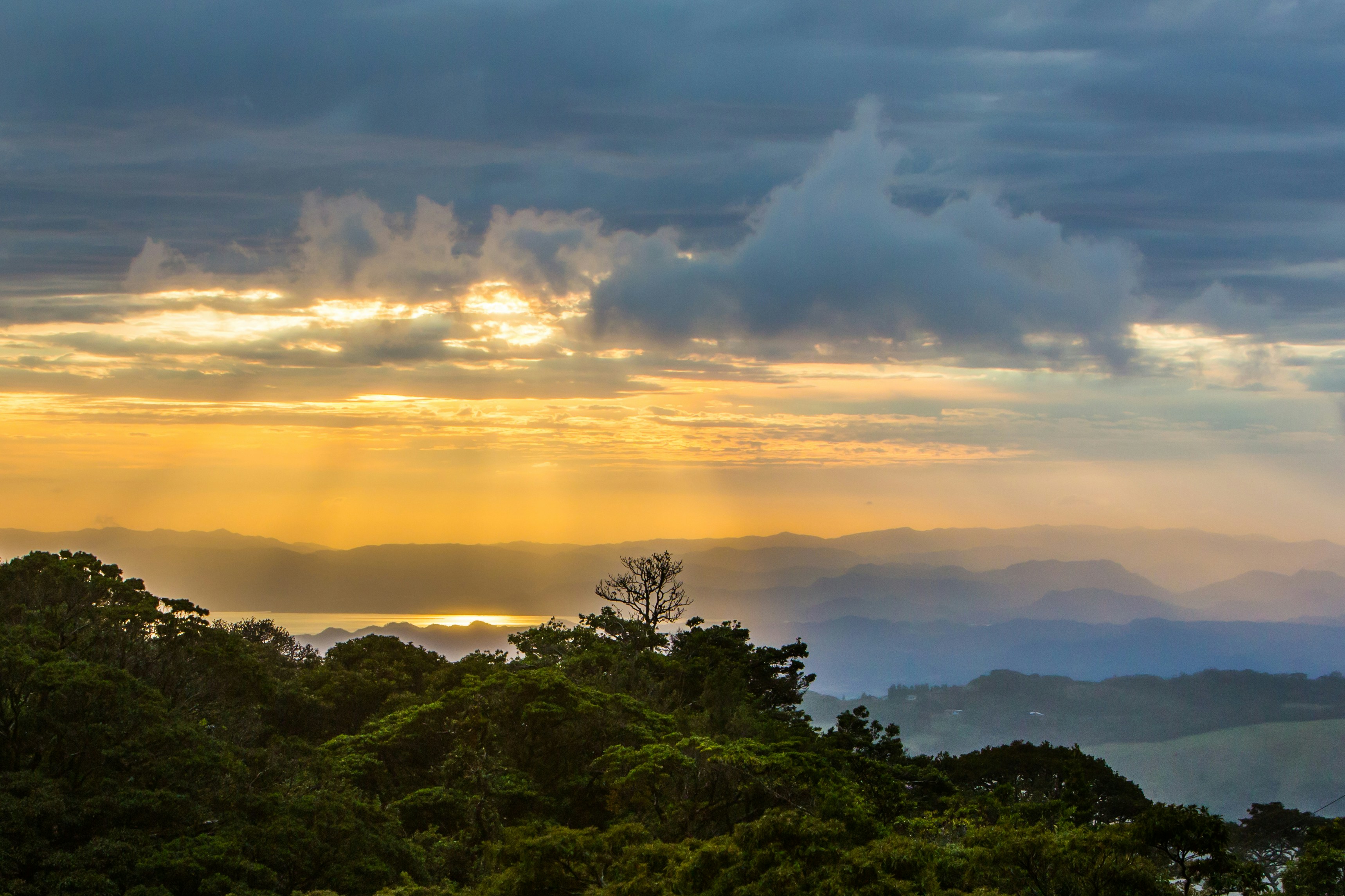 Large-scale connected landscape and global restoration