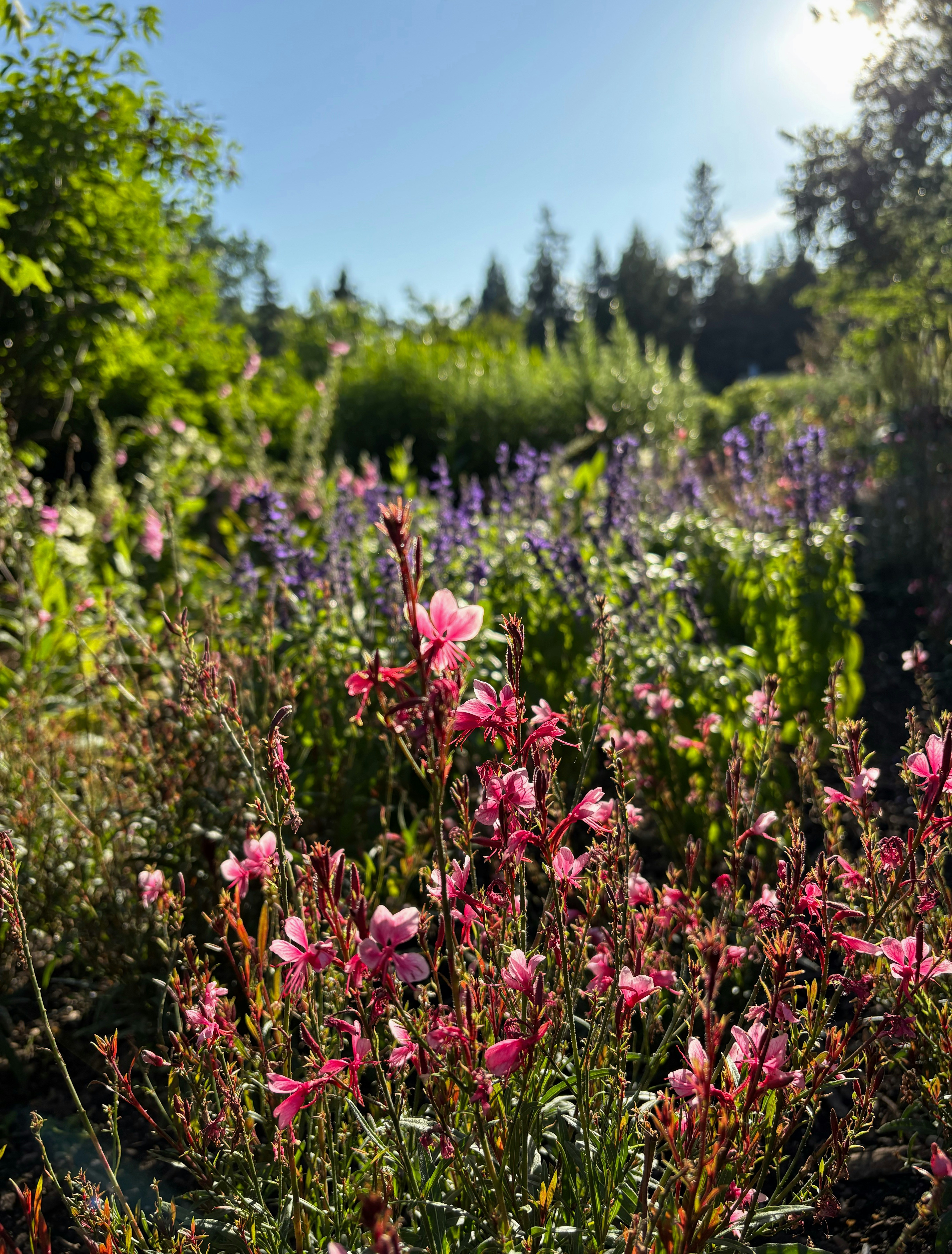 Meadow, wetland and connected habitat