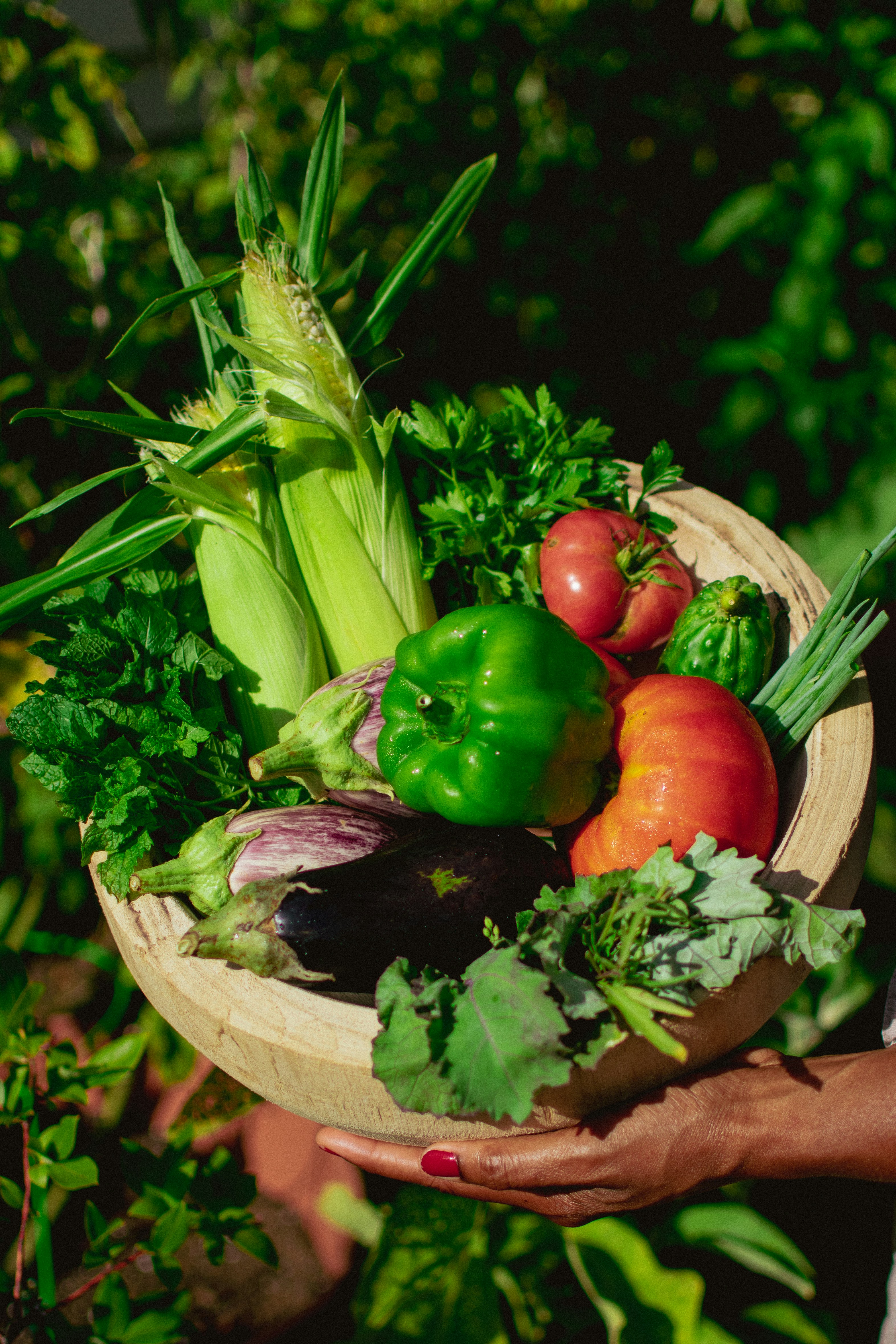 Harvest, local collection and direct delivery