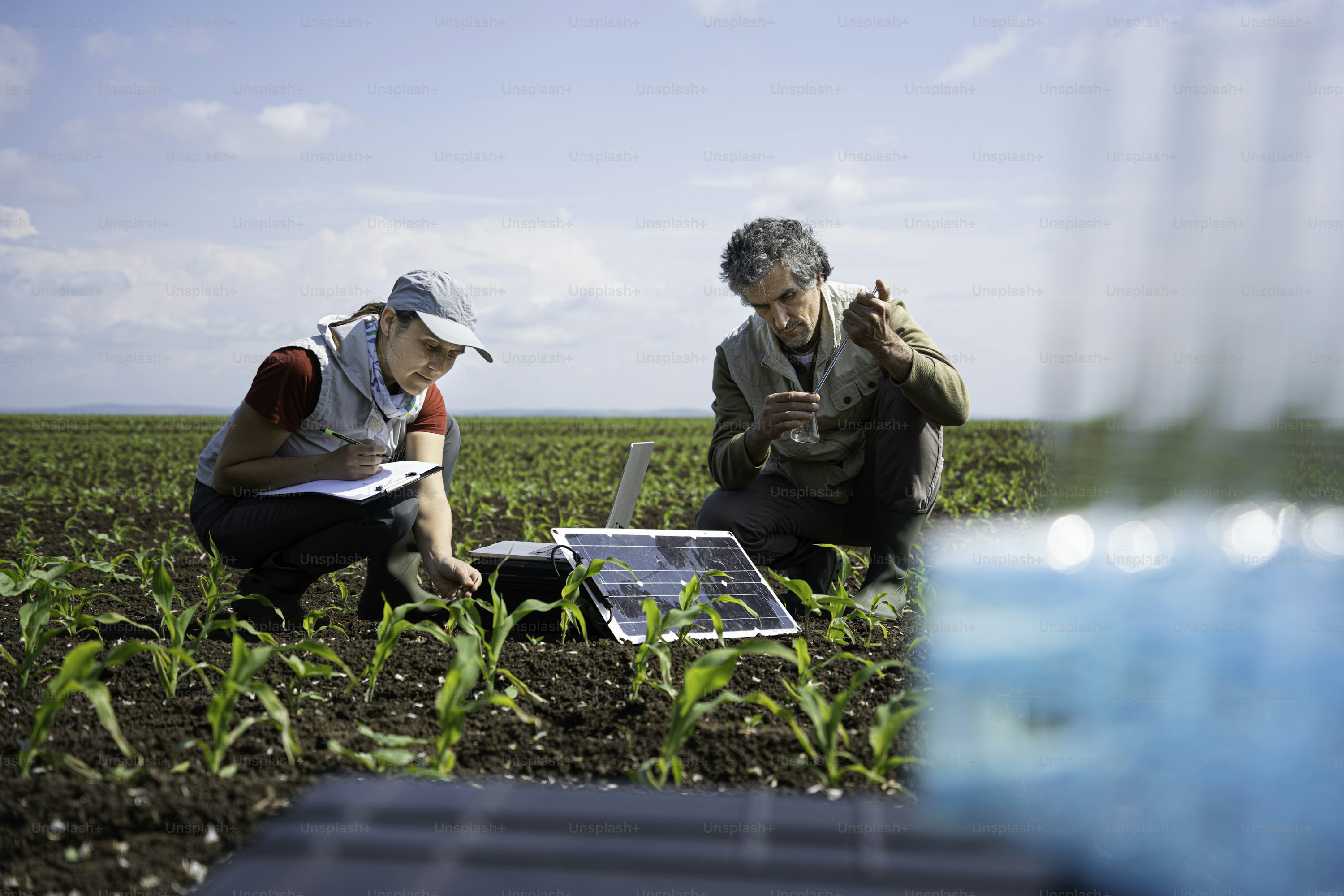 Innovation data fed into the capability engine behind the ecosystem.