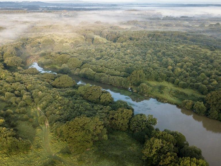 Conservation & Rewilding