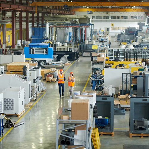 Rewilding and biodiversity-focused design