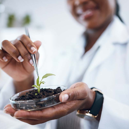 Science, engineering, and technology coming together