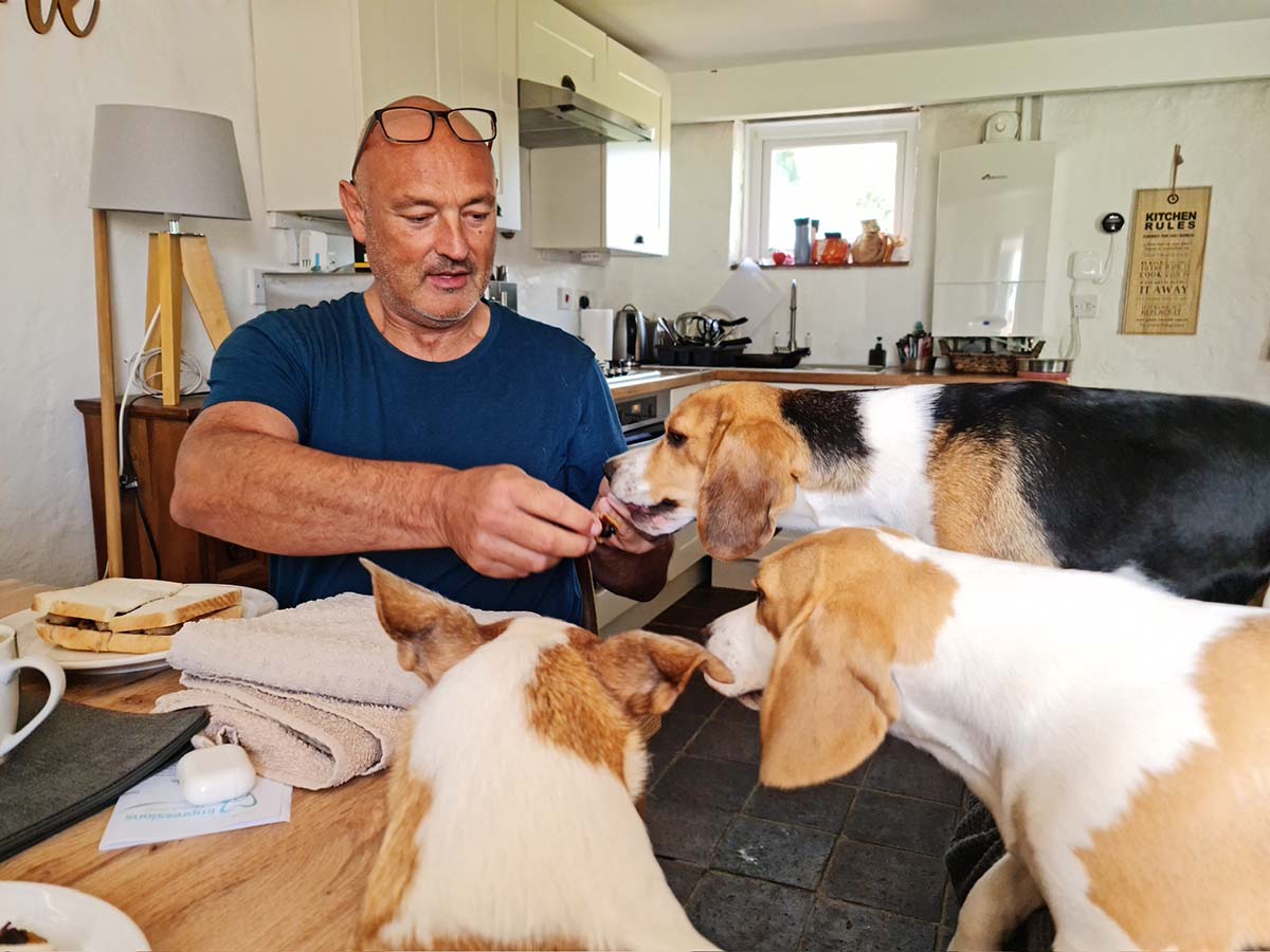 One man and his dogs One man and his dogs